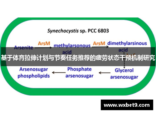 基于体育拉伸计划与节奏任务推荐的疲劳状态干预机制研究